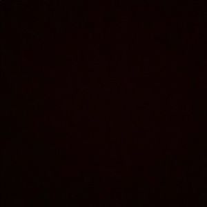 Meet your Posher, Tasha